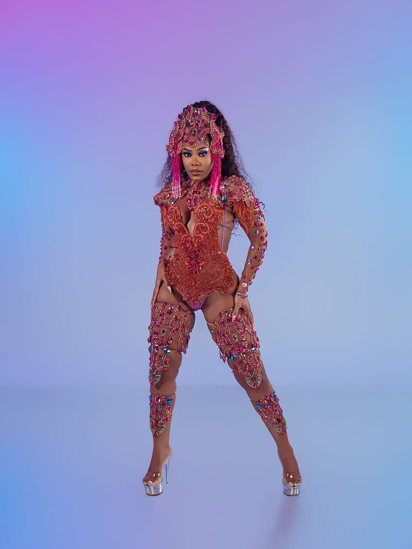 Package image