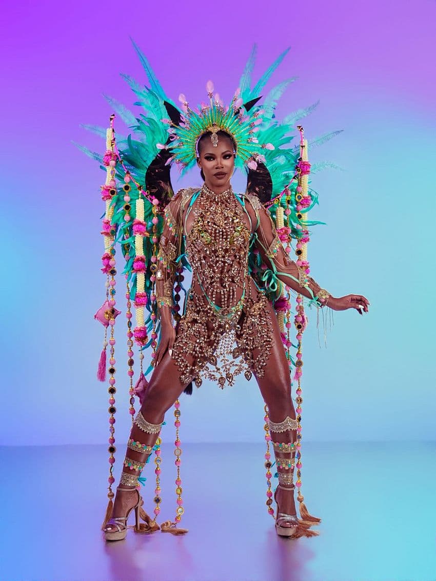 Package image