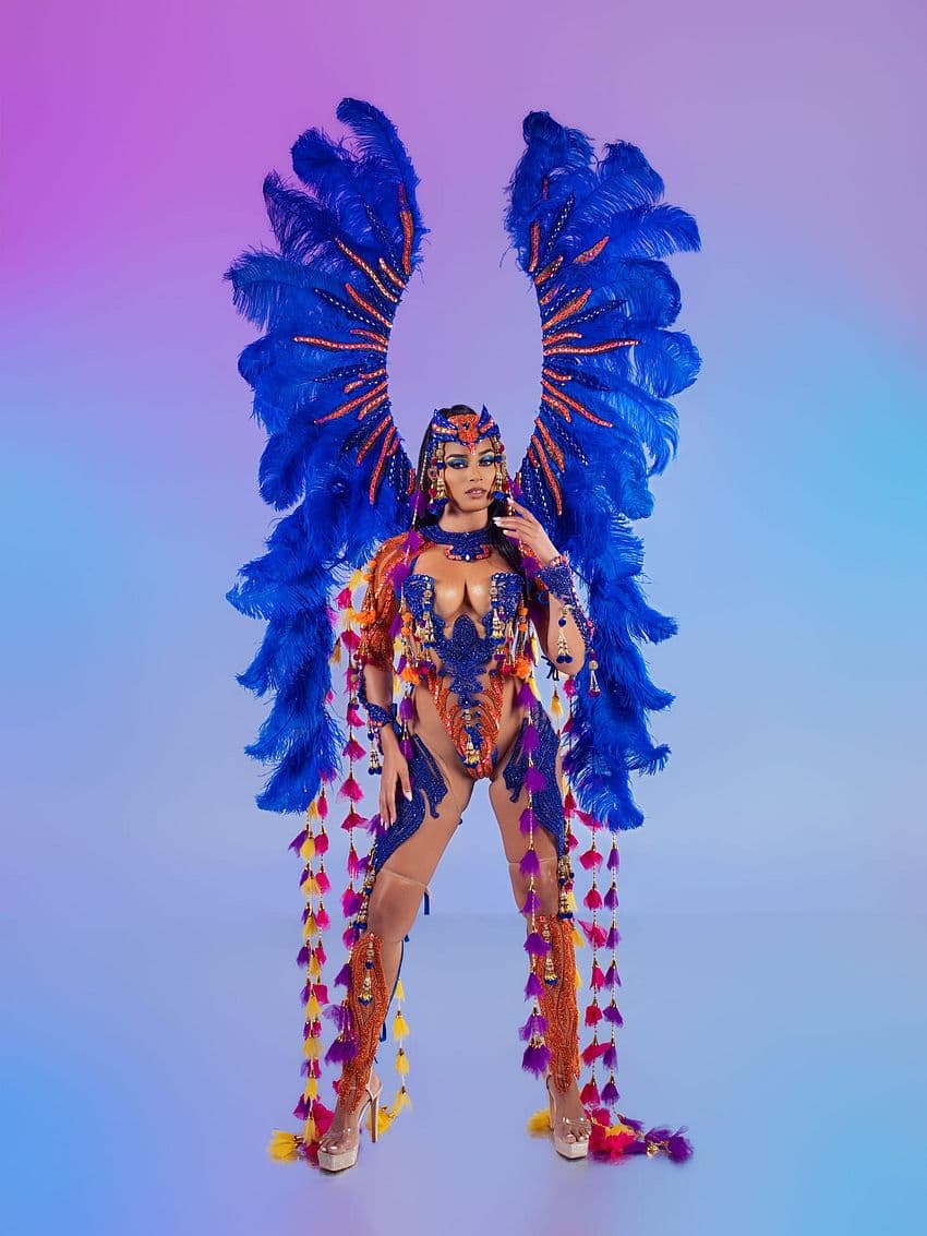 Package image