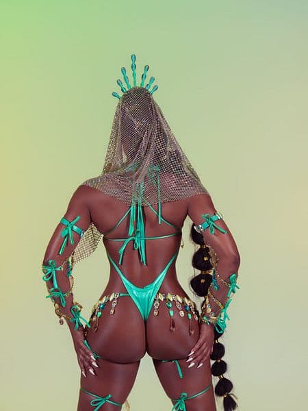 Image 4