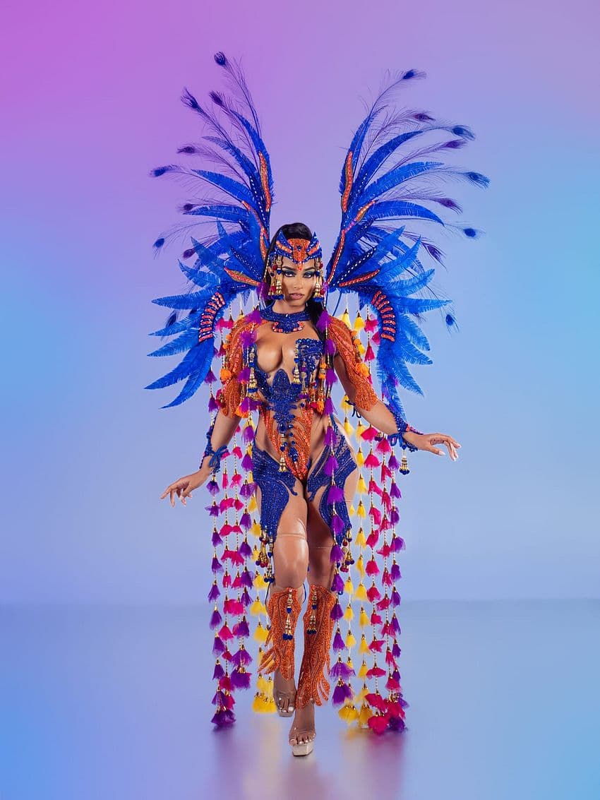 Package image