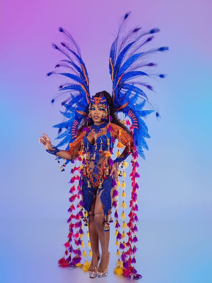 Package image
