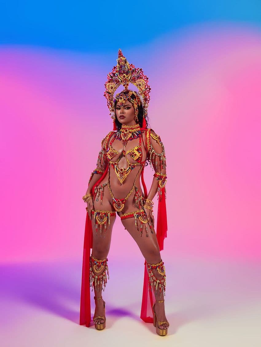 Package image