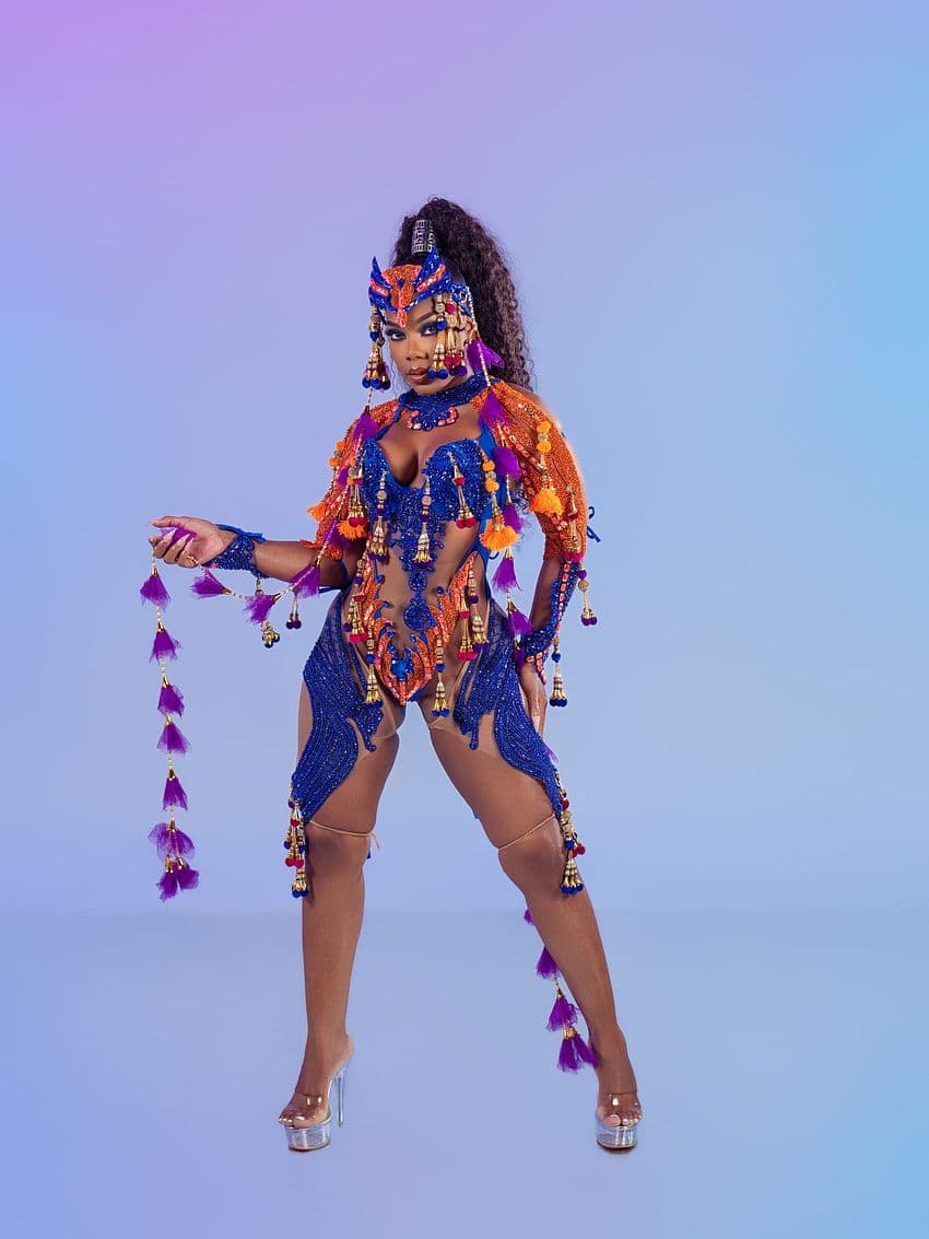 Package image